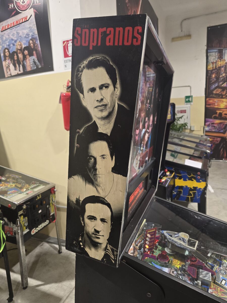 SOPRANOS STERN PINBALL FLIPPER (P2271) - Image 30
