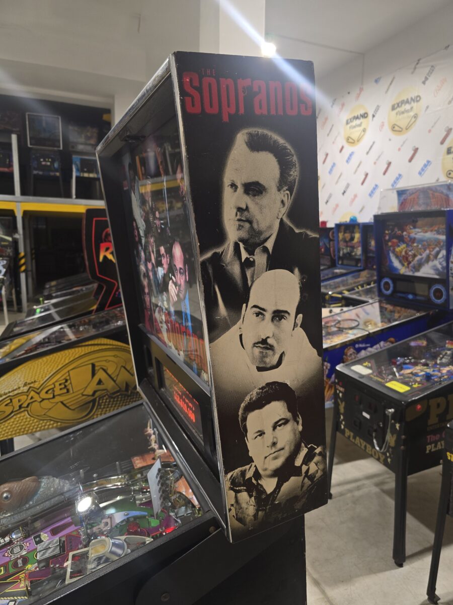 SOPRANOS STERN PINBALL FLIPPER (P2271) - Image 27