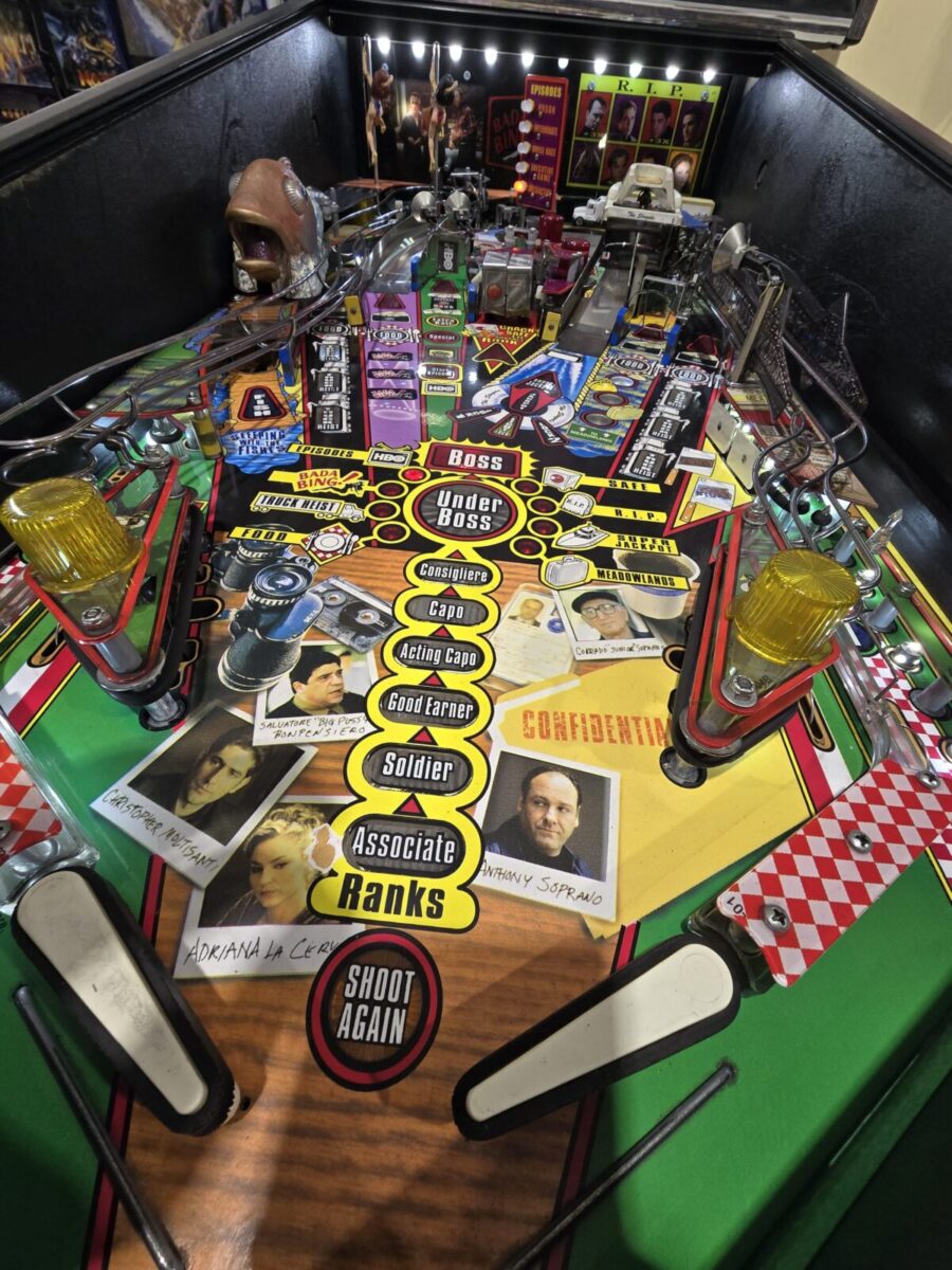 SOPRANOS STERN PINBALL FLIPPER (P2271) - Image 13